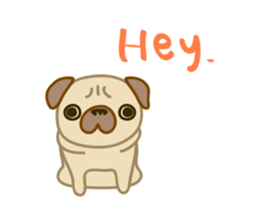pug dog-English version sticker #1997337