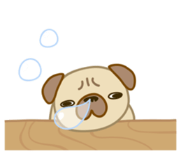 pug dog-English version sticker #1997344