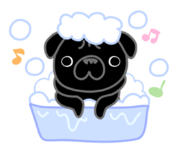 pug dog-English version sticker #1997363