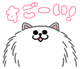 White White Pomeranian sticker #1997605