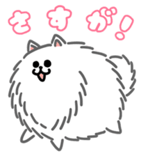 White White Pomeranian sticker #1997608