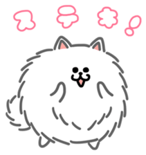 White White Pomeranian sticker #1997609