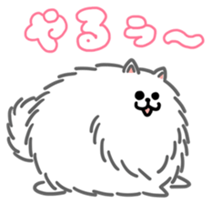 White White Pomeranian sticker #1997612