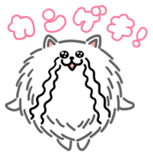 White White Pomeranian sticker #1997613