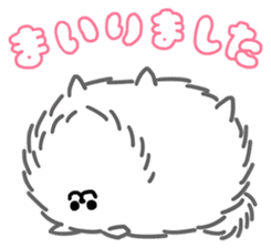 White White Pomeranian sticker #1997617