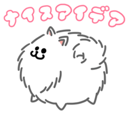 White White Pomeranian sticker #1997618