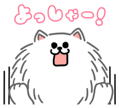 White White Pomeranian sticker #1997625