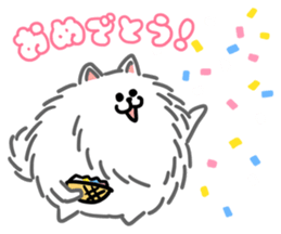 White White Pomeranian sticker #1997632