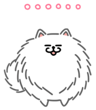 White White Pomeranian sticker #1997640