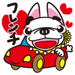 French bulldog  "hana"