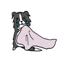 Bo's happy life sticker #2003050