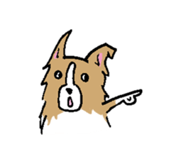 Bo's happy life sticker #2003061