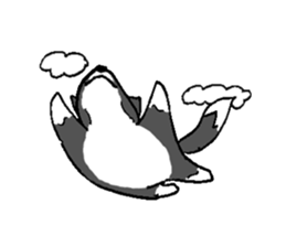 Bo's happy life sticker #2003070