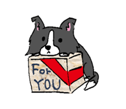 Bo's happy life sticker #2003084