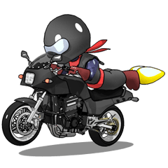 Rider ninja black