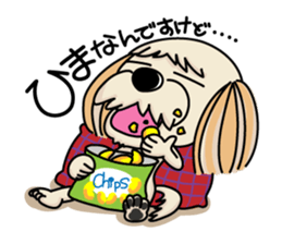 Shih Tzu named Cookie sticker #2005769