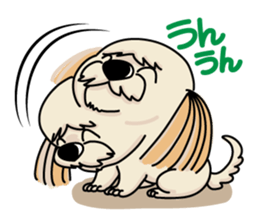 Shih Tzu named Cookie sticker #2005772