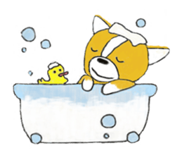 Welsh Corgi Penburogu stamp of sticker #2007258