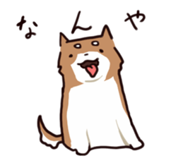 Japanese midget Shiba to drive sticker #2007725