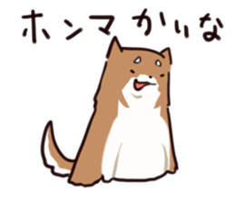 Japanese midget Shiba to drive sticker #2007730