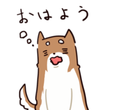 Japanese midget Shiba to drive sticker #2007731