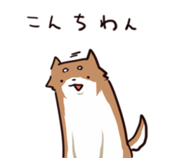 Japanese midget Shiba to drive sticker #2007733