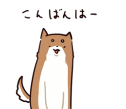 Japanese midget Shiba to drive sticker #2007734