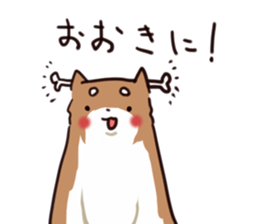 Japanese midget Shiba to drive sticker #2007735