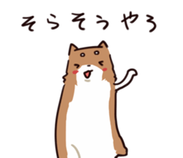 Japanese midget Shiba to drive sticker #2007737