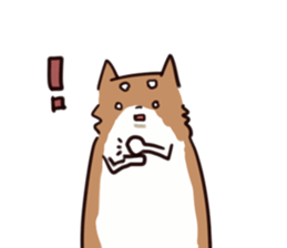 Japanese midget Shiba to drive sticker #2007739