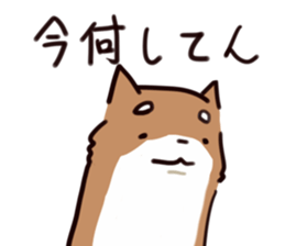 Japanese midget Shiba to drive sticker #2007740