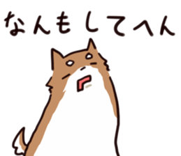 Japanese midget Shiba to drive sticker #2007741