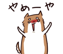 Japanese midget Shiba to drive sticker #2007743