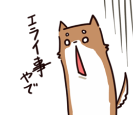 Japanese midget Shiba to drive sticker #2007750