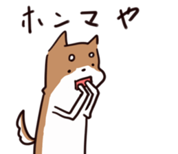 Japanese midget Shiba to drive sticker #2007752