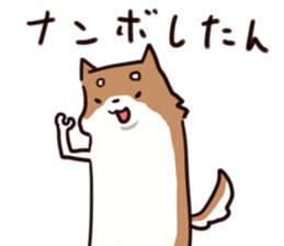 Japanese midget Shiba to drive sticker #2007753