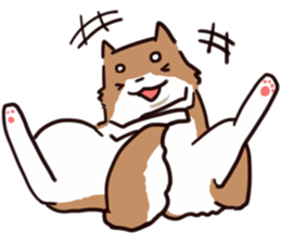 Japanese midget Shiba to drive sticker #2007757