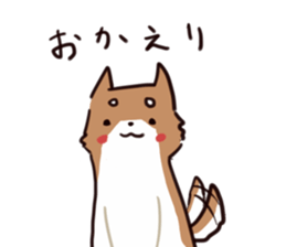 Japanese midget Shiba to drive sticker #2007759