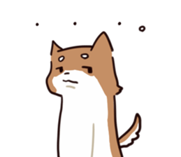 Japanese midget Shiba to drive sticker #2007761