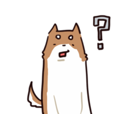 Japanese midget Shiba to drive sticker #2007762