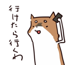 Japanese midget Shiba to drive sticker #2007764