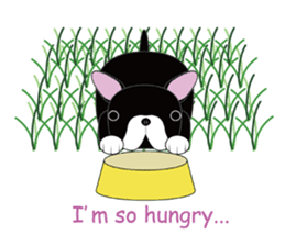 BOWWOW !~English version sticker #2010212