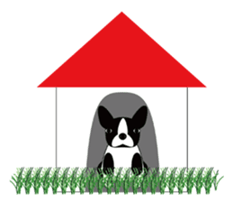 BOWWOW !~English version sticker #2010238