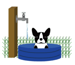 BOWWOW !~English version sticker #2010243