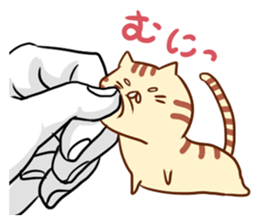 Messenger of the companion cats sticker #2011286