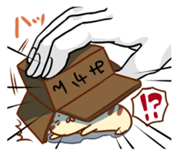 Messenger of the companion cats sticker #2011287