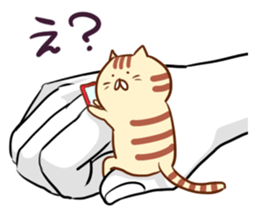 Messenger of the companion cats sticker #2011294