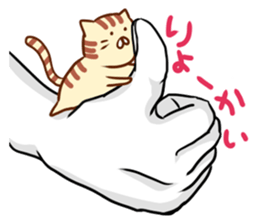 Messenger of the companion cats sticker #2011303