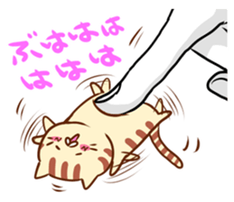 Messenger of the companion cats sticker #2011306