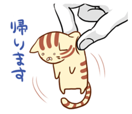 Messenger of the companion cats sticker #2011309